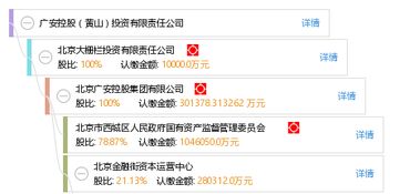 廣安控股黃山投資有限責任公司 戰略投資與控股布局解析